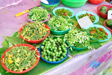 Sesbania javanica, Cowslip Creeper,  Turkey Berry and Bird Chill