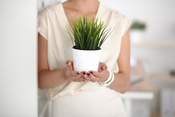 Closeup Of Businesspeople Hand Holding GrassTogether