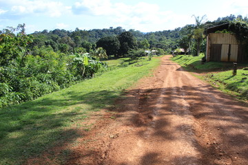 Guyane - Saül - Juillet 2014