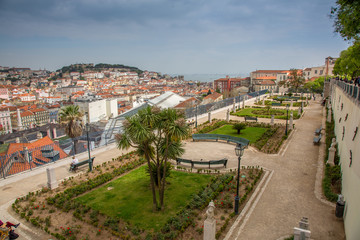 Fototapeta na wymiar Lisbonne : Jardim de São Pedro de Alcântara
