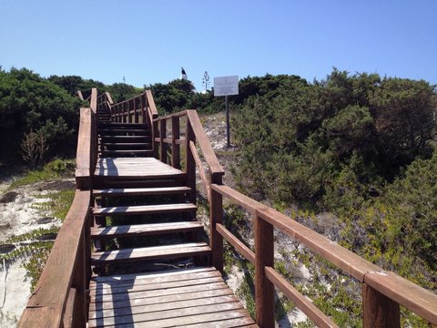 scala di legno dalla spiaggia