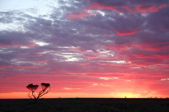 Sunset on the Nullarbor Plain