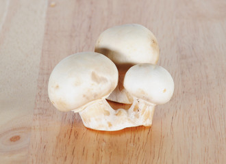 Three field mushrooms