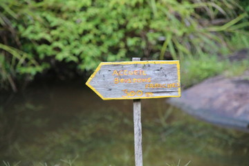 Guyane - Saül - Juillet 2014