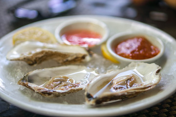 Plate of oysters