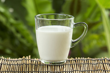 Glass of fresh milk
