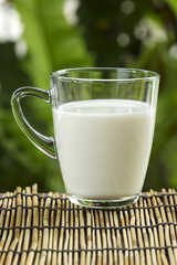 Glass of fresh milk