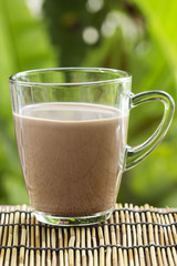 Fresh chocolate Milk in a glass