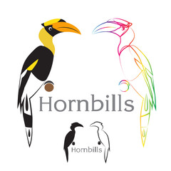 Vector image of an hornbill © yod67