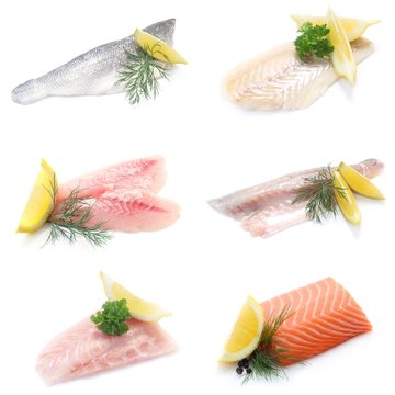 Collage Fisch