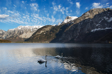 Fototapeta na wymiar Alps range with lake and swans