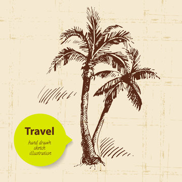 Vintage travel background with palms. Hand drawn illustration
