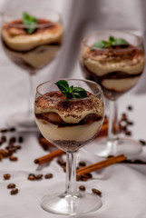 Tiramisu dessert