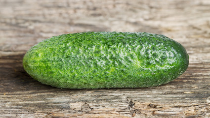 Green cucumber.