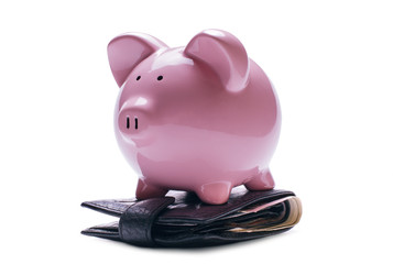 Pink piggy bank on a wallet with banknotes