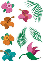 Tropical Flowers and Leaves