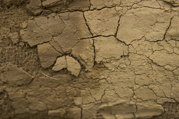 cracked wet sand background