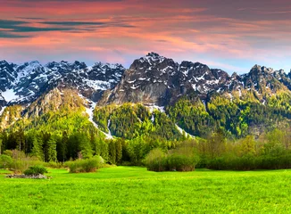 Fotobehang Prachtig lentelandschap in de Zwitserse Alpen, Bregaglia. © Andrew Mayovskyy