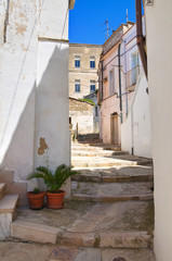 Fototapeta na wymiar Alleyway. Minervino Murge. Puglia. Italy.
