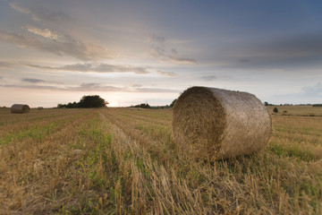 Bela słomy na polu, zachód słońca © Piotr Szpakowski