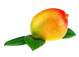 Fresh mango fruit with green leaves isolated on white background