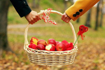 lovers, picnic basket
