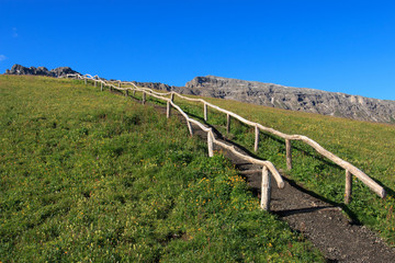 Fototapeta na wymiar sentiero sull'Alpe di Siusin