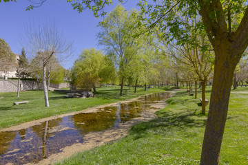 green meadow with trees and a creek one day in sun