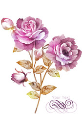 watercolor illustration flower bouquet in simple background 