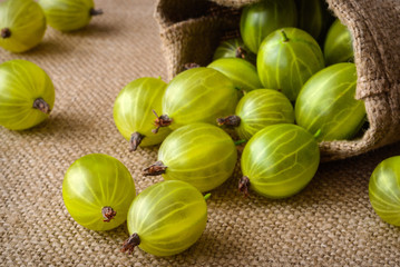 green gooseberries on fabric background - 68710938