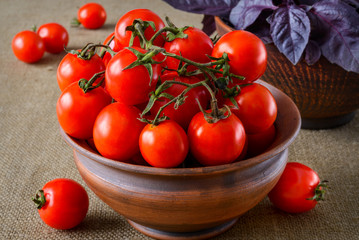 Fresh tomatoes with basil
