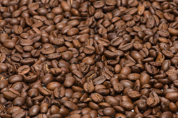 Seed of coffee