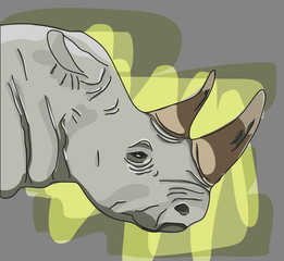 Rhino