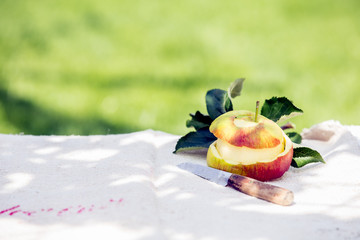 Peeled apple with its skin on a garden table