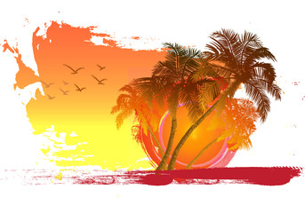 Palm on sunset background