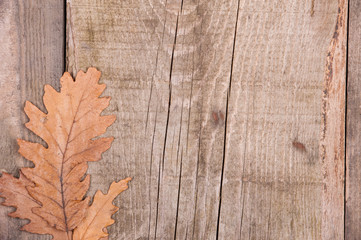 Autumn background of leaves over wooden surface