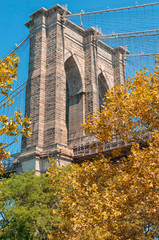 Obraz premium Brooklyn Bridge in autumn