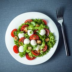 Mozzarella salad with crunchy fried croutons