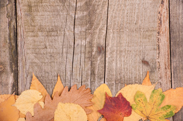 Naklejka na ściany i meble Autumn background of leaves over wooden surface