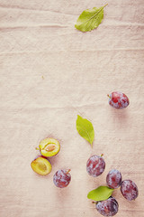 Forest Berries Isolated on Off White Cloth