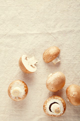 Fresh mushroom champignon on off white background