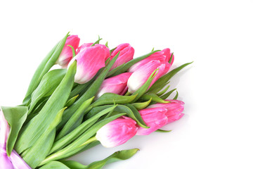 bouquet of pink tulips