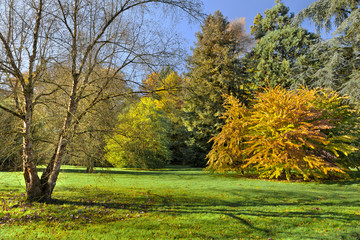 Autumn Landscape. Park in Autumn. Dry leaves in the foreground.