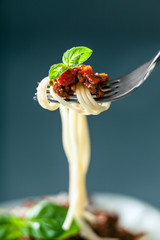 Fork full of Italian spaghetti
