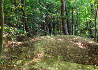 earthen hills in the forest