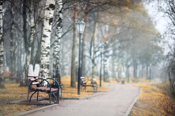 Fototapeta na wymiar city ​​alley autumn bench loneliness