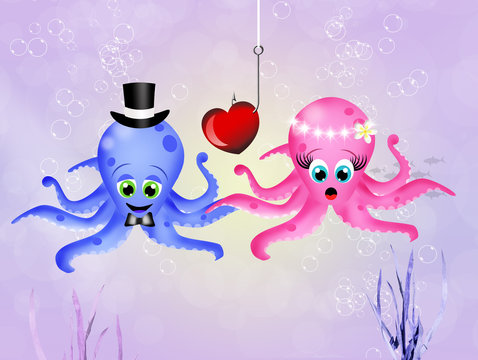 Octopus In Love