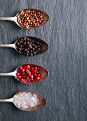 Salt and peppercorns displayed in spoons