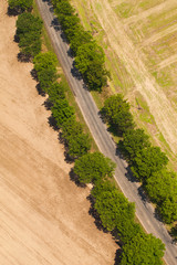 aerial view of village road and harvest fields