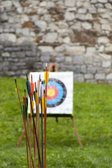 Colorful Arrows and target archery in field